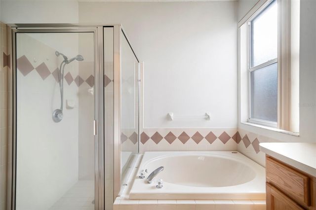 930 GRAND CANYON DRIVE, Valrico, FL 33594