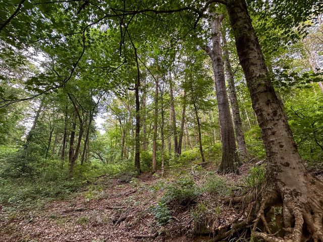 000 Highway 7, Nacogdoches, TX 75935