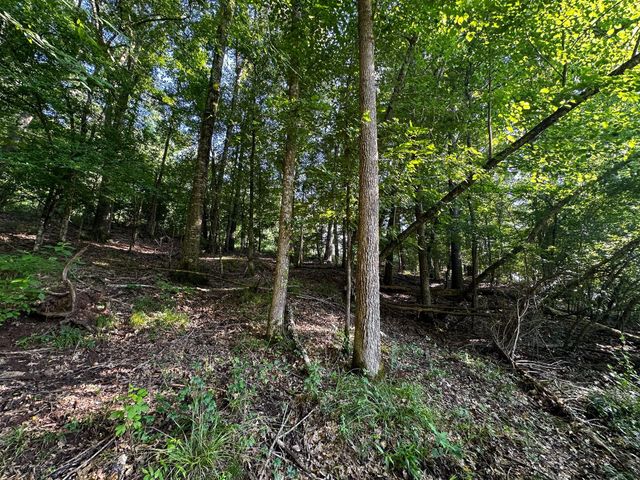 000 Highway 7, Nacogdoches, TX 75935