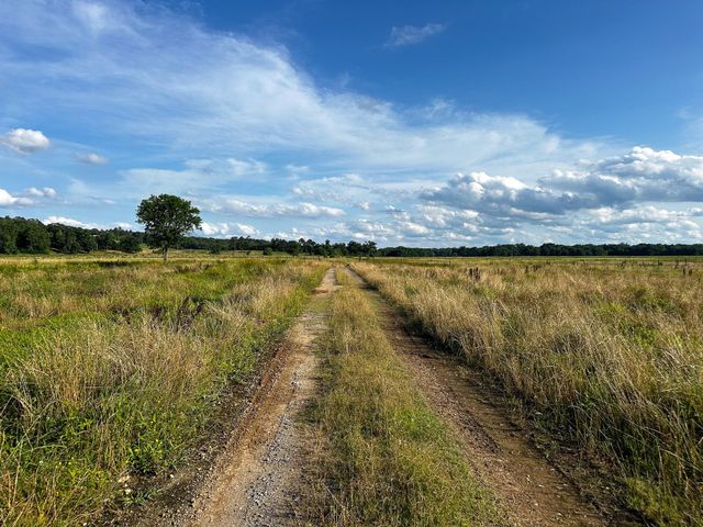 000 Highway 7, Nacogdoches, TX 75935