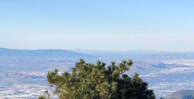 31531 Ocean View Drive, Running Springs, CA 92382