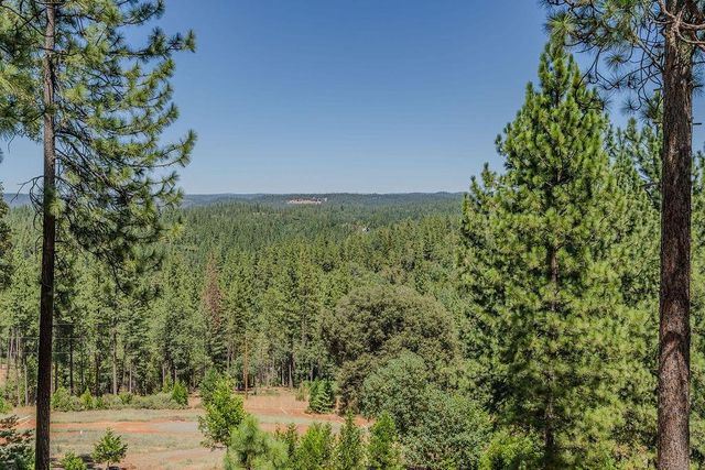 21140 Vista Amorosa Ct, Pine Grove, CA 95665