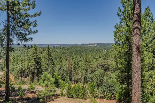 21140 Vista Amorosa Ct, Pine Grove, CA 95665