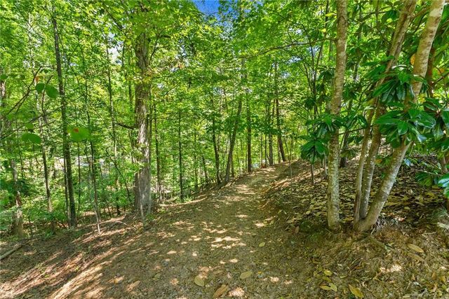 3173 Alenes Drive, Gainesville, GA 30506