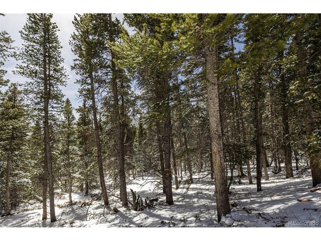 757 Texas Dr, Idaho Springs, CO 80452