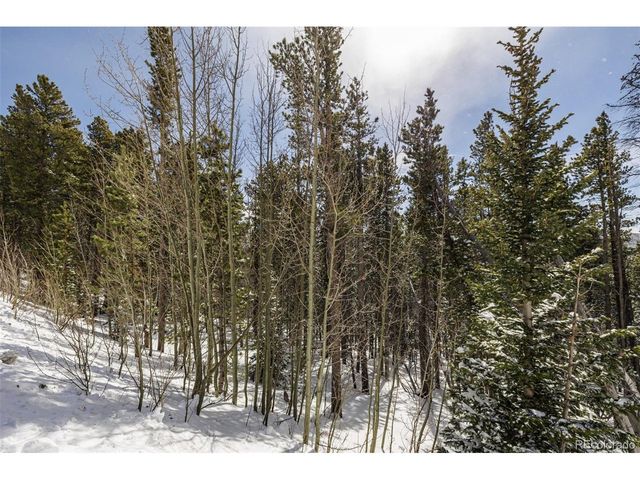 757 Texas Dr, Idaho Springs, CO 80452