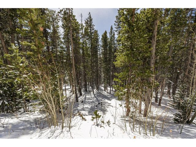 757 Texas Dr, Idaho Springs, CO 80452