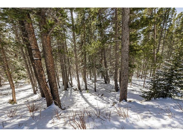 757 Texas Dr, Idaho Springs, CO 80452