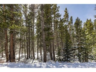 757 Texas Dr, Idaho Springs, CO 80452