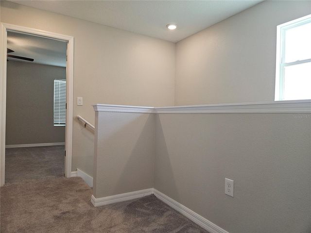 32112 POWDERPUFF MIMOSA DRIVE, San Antonio, FL 33576