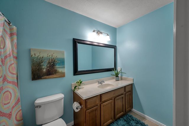 30902 Oak Forest Hollow Lane, Spring, TX 77386