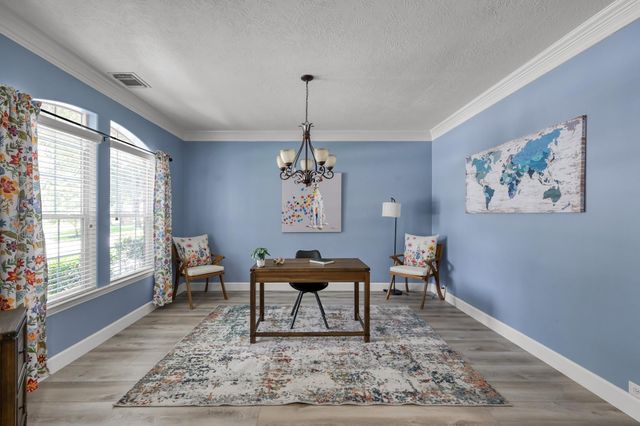 30902 Oak Forest Hollow Lane, Spring, TX 77386