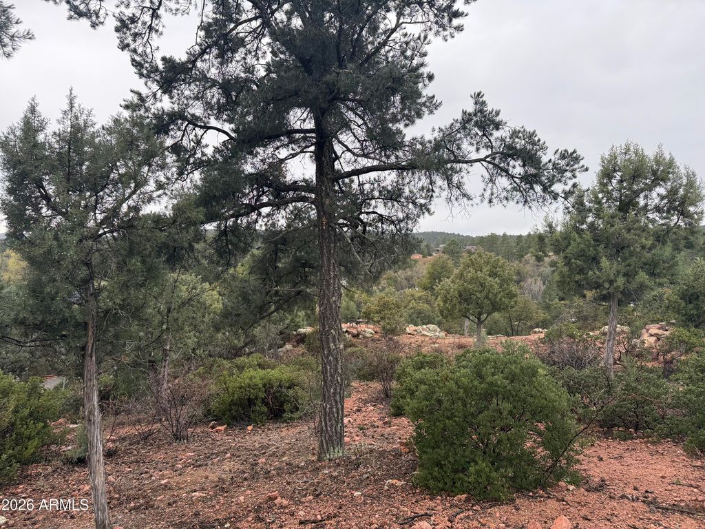 Image 2 of property listing at 1106 N KAREN Way 5, Payson, AZ 85541