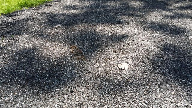 0 Ecorse Road, Romulus, MI 48174