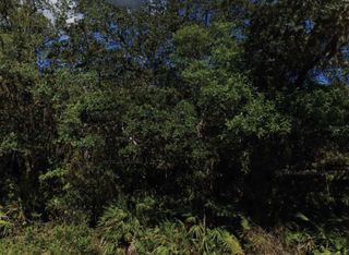 NE 47TH TERRACE, Citra, FL 32113