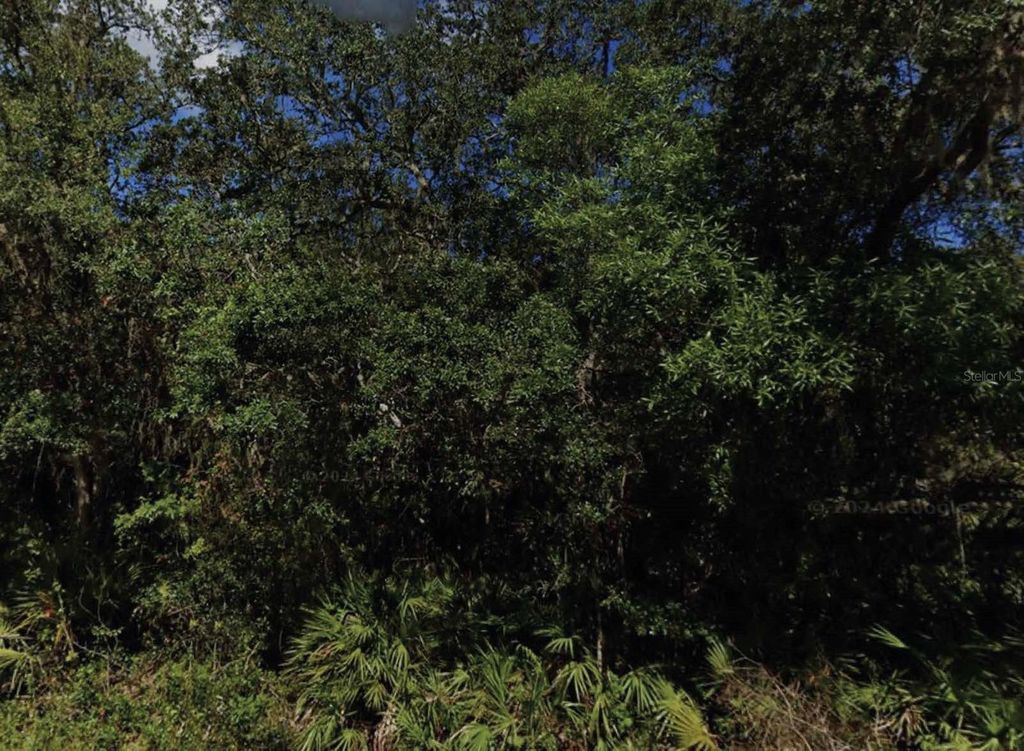 NE 47TH TERRACE, Citra, FL 32113