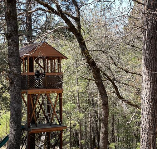 717 Swanson Ln, Colfax, CA 95713