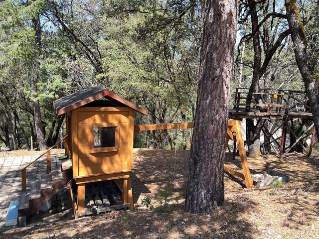 717 Swanson Ln, Colfax, CA 95713