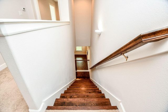 1803 Wichita Street, Houston, TX 77004