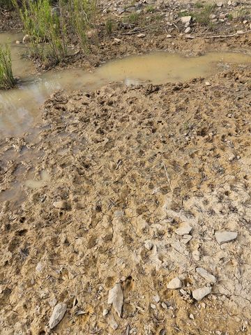 0 J S Murry Ranch Rd, Del Rio, TX 78840