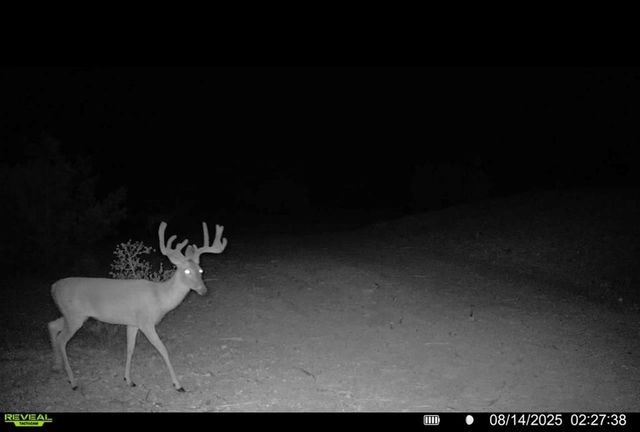 0 J S Murry Ranch Rd, Del Rio, TX 78840