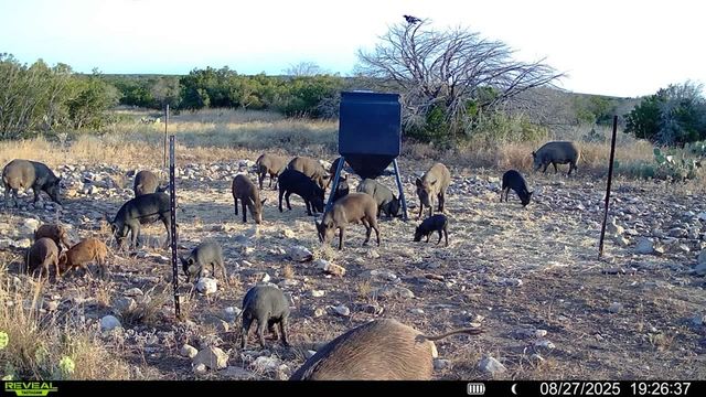 0 J S Murry Ranch Rd, Del Rio, TX 78840