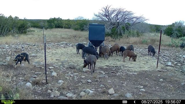 0 J S Murry Ranch Rd, Del Rio, TX 78840