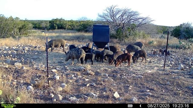 0 J S Murry Ranch Rd, Del Rio, TX 78840