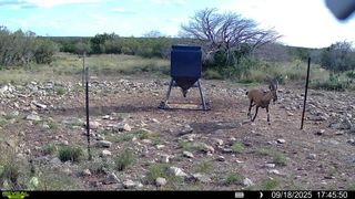 0 J S Murry Ranch Rd, Del Rio, TX 78840