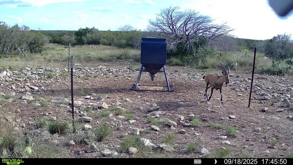 0 J S Murry Ranch Rd, Del Rio, TX 78840