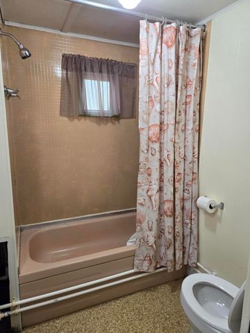 5018 S Chief Okemos Trail, Baldwin, MI 49304