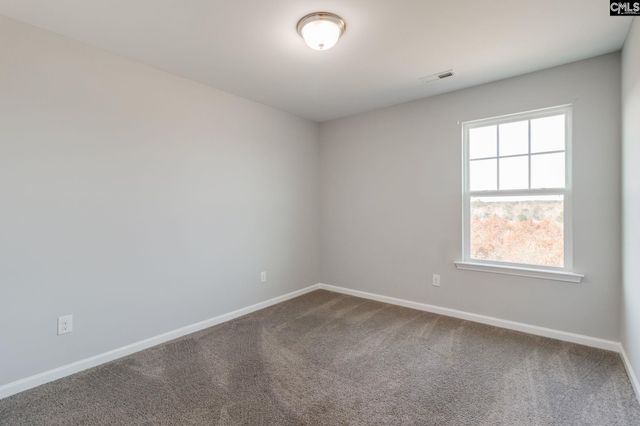 1181 Coopers Ridge Lane, Elgin, SC 29045