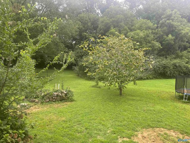 792 Seina Vista Drive, Madison, AL 35758
