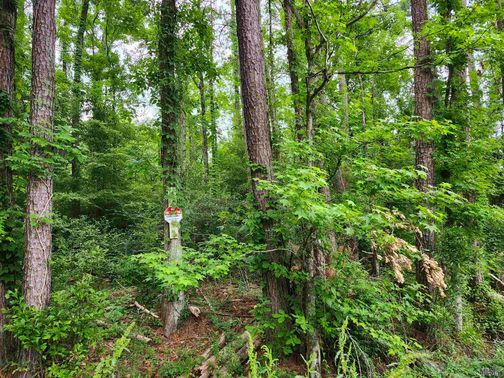 Lot 83 Baker Dr, Denham Springs, LA 70726