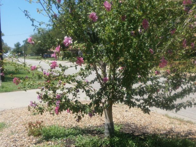 532 Laurel St, Minneapolis, KS 67467