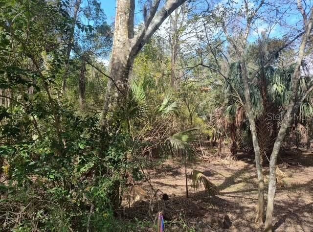 5979 E WINGATE, Inverness, FL 34452