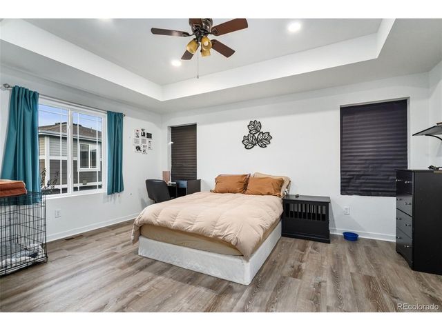 2651 Painted Turtle Ave, Loveland, CO 80538