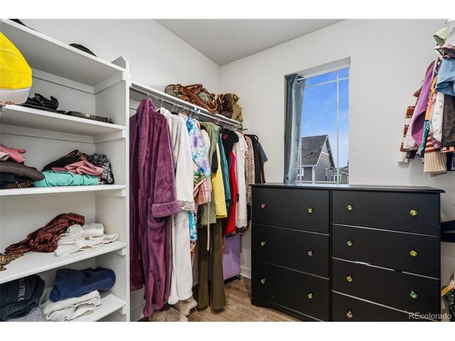 2651 Painted Turtle Ave, Loveland, CO 80538