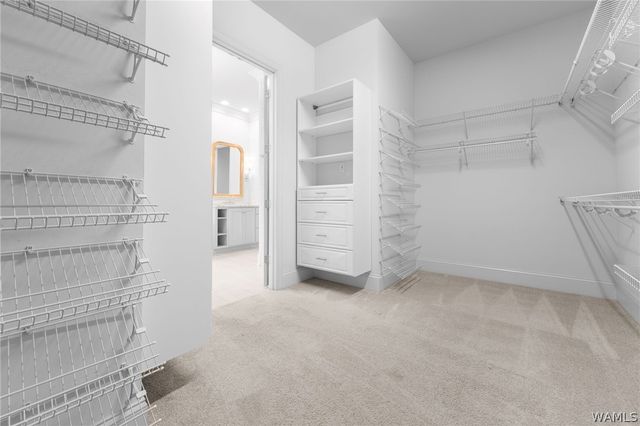 5391 PARK AVE, Tuscaloosa, AL 35406