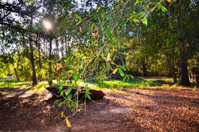 161 Woodman Drive, Cleveland, TX 77328