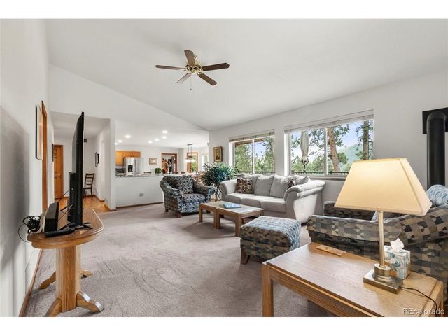 84 Marys Ln, Bailey, CO 80421