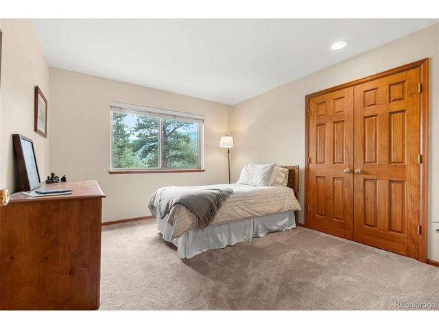 84 Marys Ln, Bailey, CO 80421