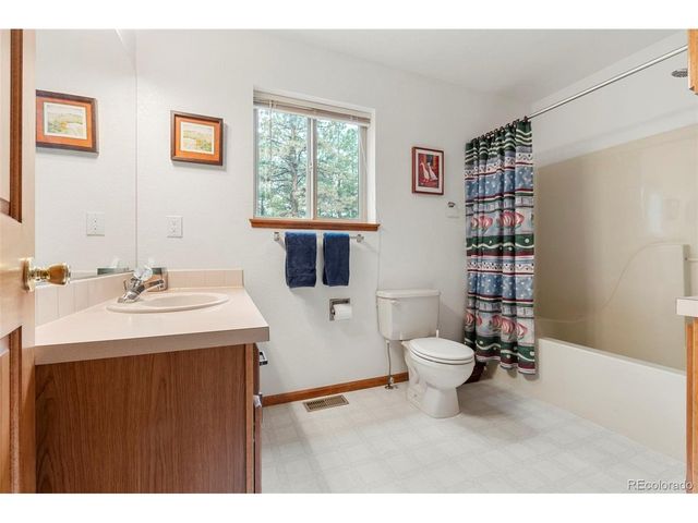 84 Marys Ln, Bailey, CO 80421