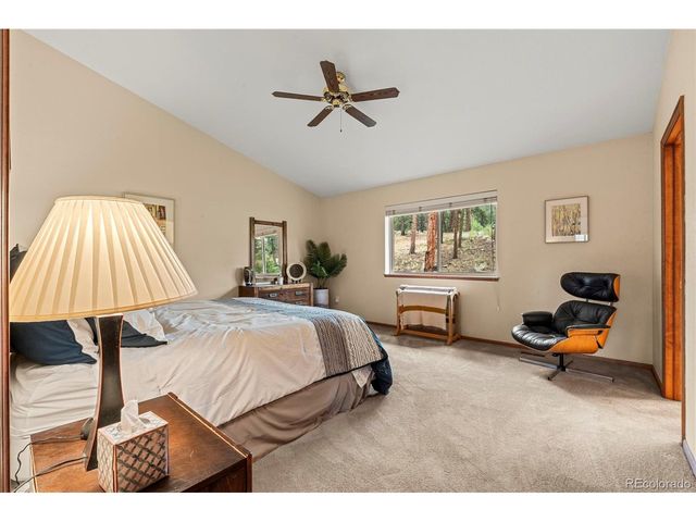 84 Marys Ln, Bailey, CO 80421