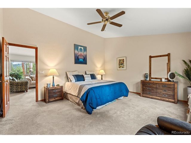 84 Marys Ln, Bailey, CO 80421