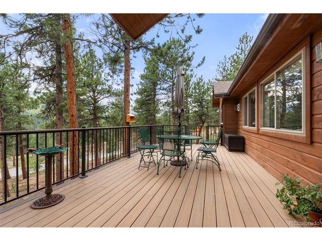 84 Marys Ln, Bailey, CO 80421
