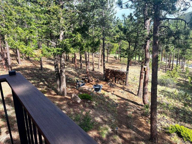 84 Marys Ln, Bailey, CO 80421