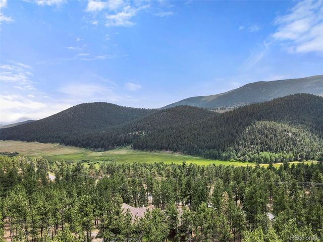 84 Marys Ln, Bailey, CO 80421
