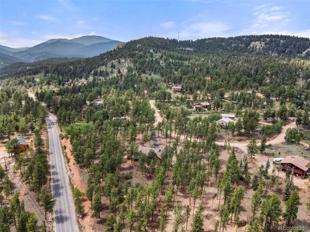 84 Marys Ln, Bailey, CO 80421