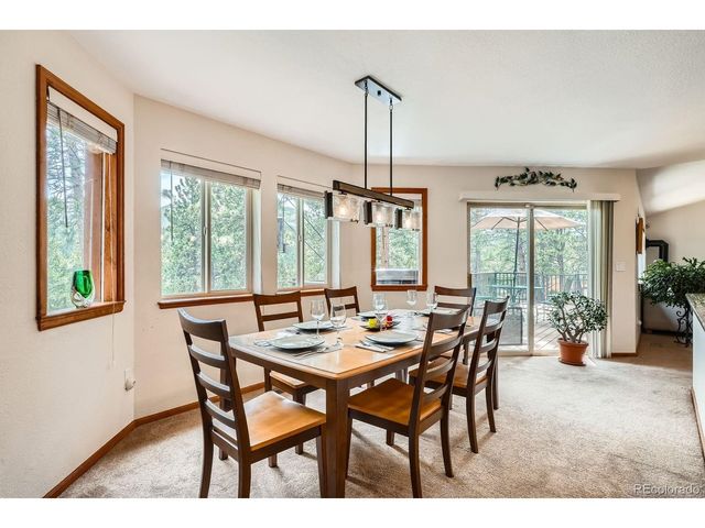 84 Marys Ln, Bailey, CO 80421